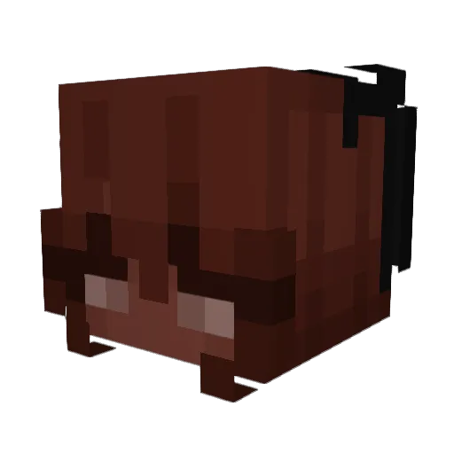 dejaigh Minecraft avatar head, 3D render