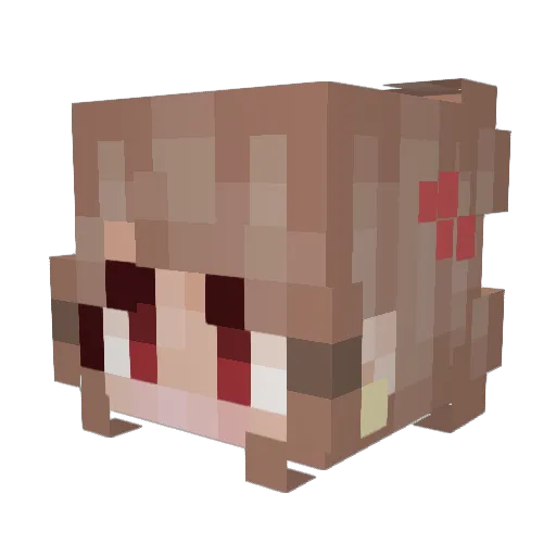 dejerre25 Minecraft avatar head, 3D render