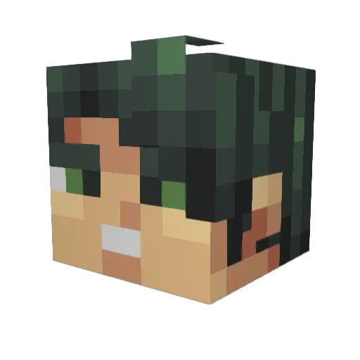 dekushrub Minecraft avatar head, 3D render