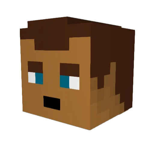 delanar Minecraft avatar head, 3D render