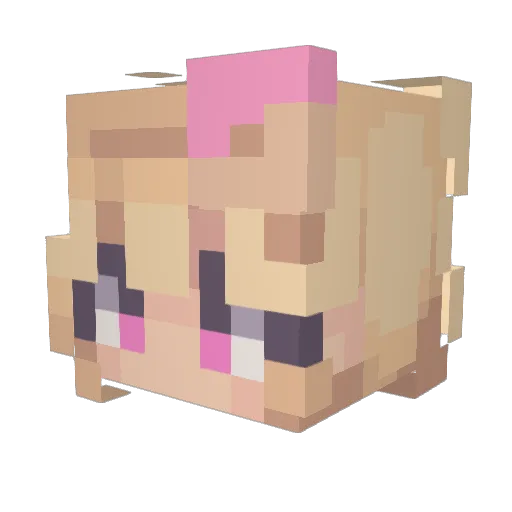 delaneyrocks Minecraft avatar head, 3D render