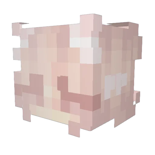 delatine Minecraft avatar head, 3D render