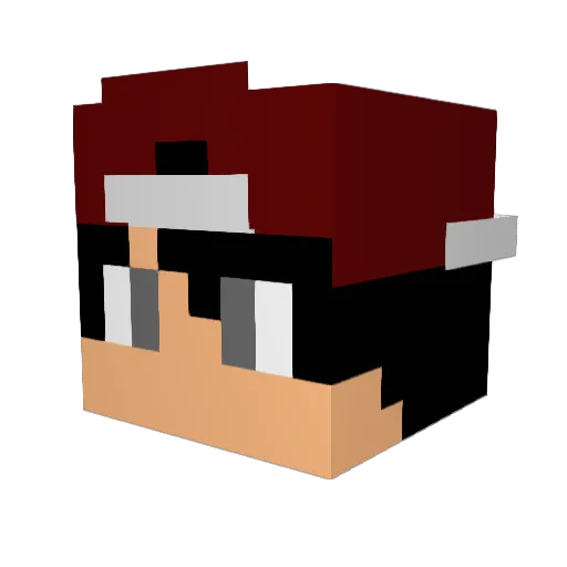 deletedaccount12 Minecraft avatar head, 3D render