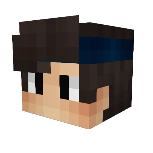 delfin_Go Minecraft avatar head, 3D render