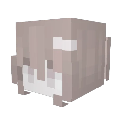 delicatecat Minecraft avatar head, 3D render