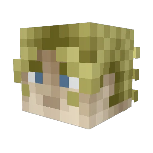 delirium000 Minecraft avatar head, 3D render