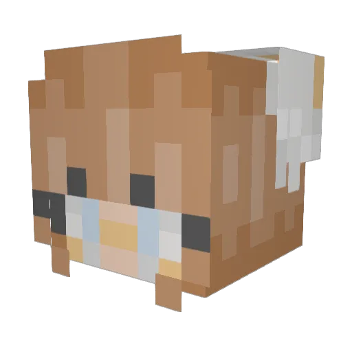 dellybean1406 Minecraft avatar head, 3D render