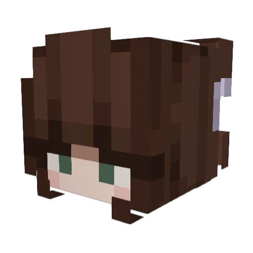 delorckx_ Minecraft avatar head, 3D render