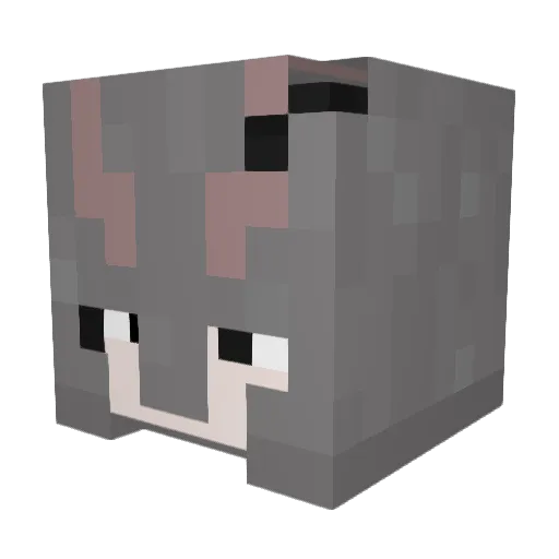 deluga69 Minecraft avatar head, 3D render