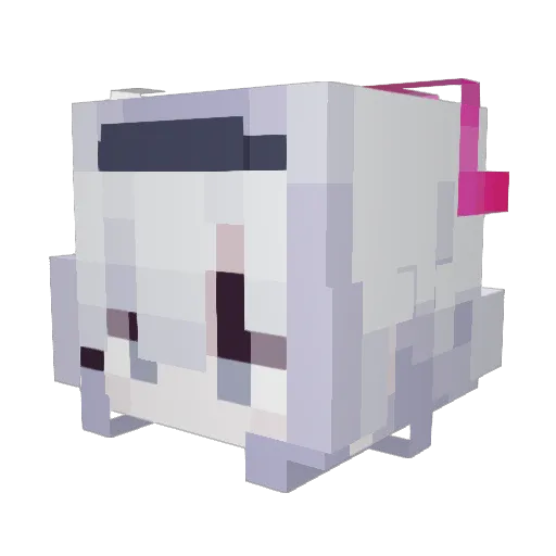 delxi Minecraft avatar head, 3D render