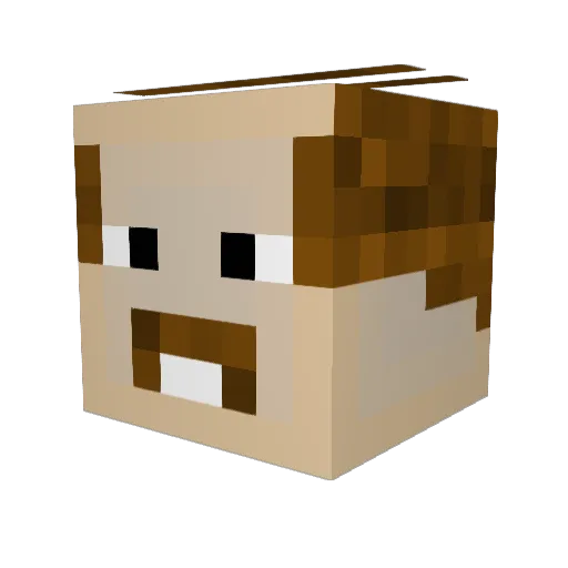 demarlo Minecraft avatar head, 3D render