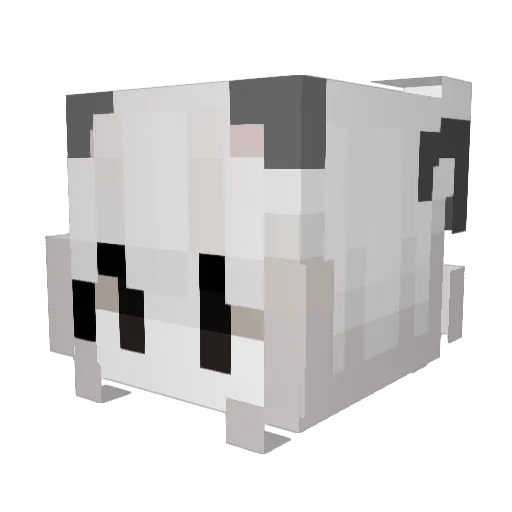dementedSwarp53 Minecraft avatar head, 3D render