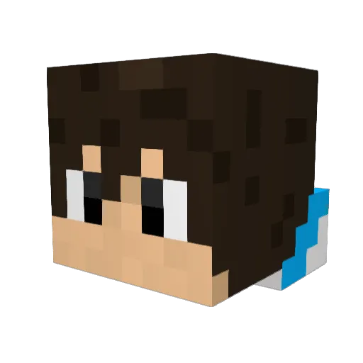dementedstar Minecraft avatar head, 3D render
