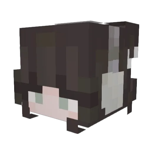 demianpx Minecraft avatar head, 3D render