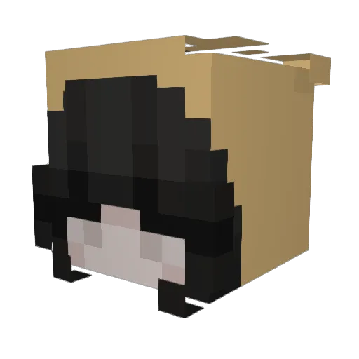 demichux Minecraft avatar head, 3D render