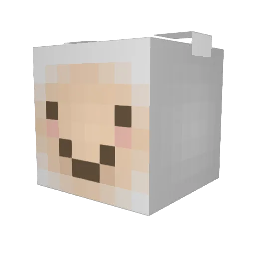 deminity Minecraft avatar head, 3D render