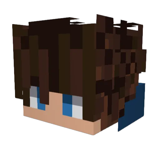 demo_51___ Minecraft avatar head, 3D render