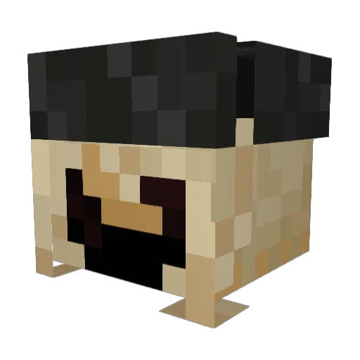 demondicephoenix Minecraft avatar head, 3D render