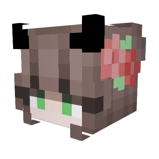 demonida Minecraft avatar head, 3D render