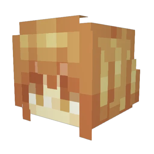 demonjenkins290 Minecraft avatar head, 3D render