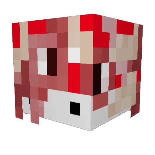 demonshark1221 Minecraft avatar head, 3D render