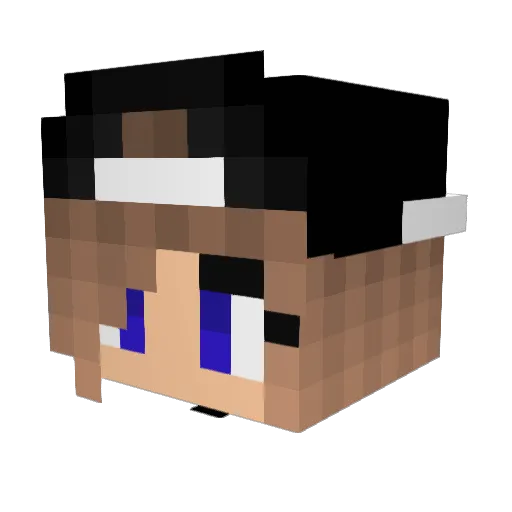 demonspector Minecraft avatar head, 3D render