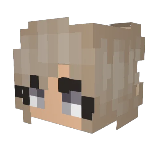 demonwolve44123 Minecraft avatar head, 3D render