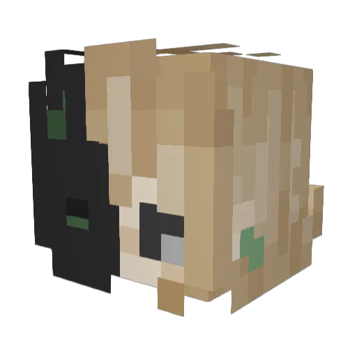 demskittlesdoe7 Minecraft avatar head, 3D render
