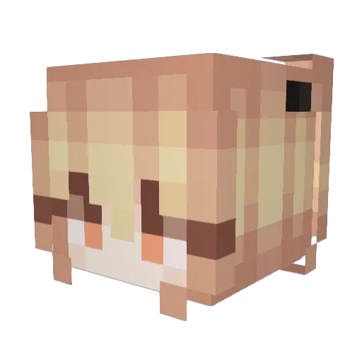 dengxiana Minecraft avatar head, 3D render