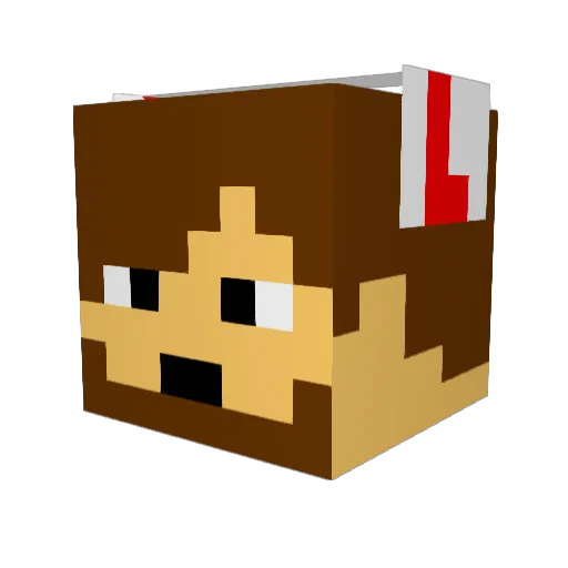 denixan Minecraft avatar head, 3D render