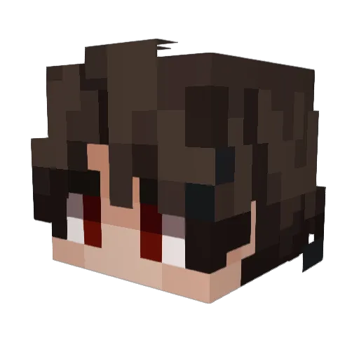dennis8806 Minecraft avatar head, 3D render