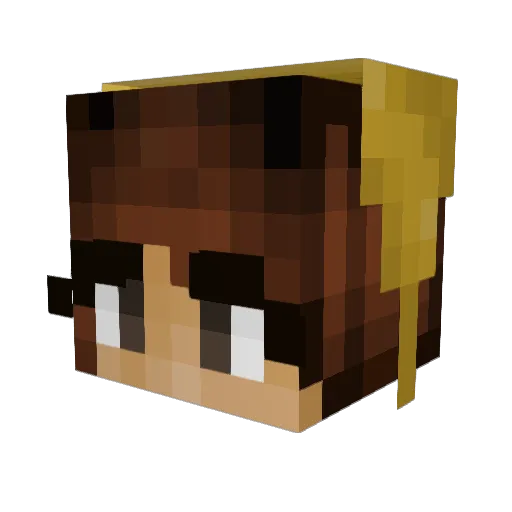 dennishoppers Minecraft avatar head, 3D render