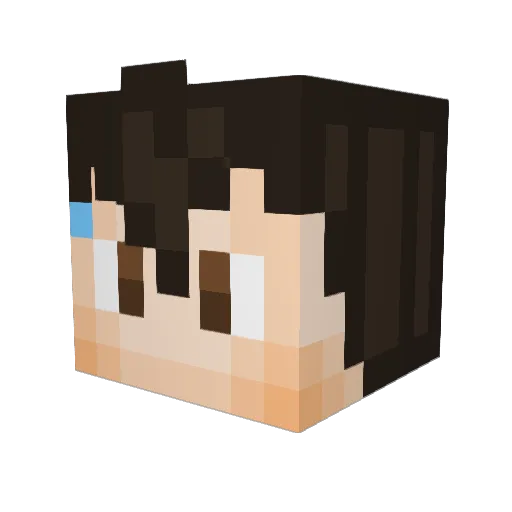 denvermickey2012 Minecraft avatar head, 3D render