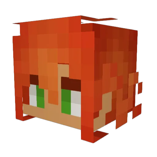denze_enjoyer Minecraft avatar head, 3D render