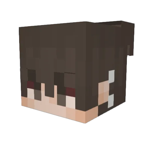 depressed_boyxz Minecraft avatar head, 3D render