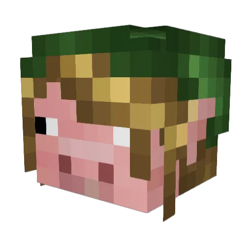 depuradora Minecraft avatar head, 3D render