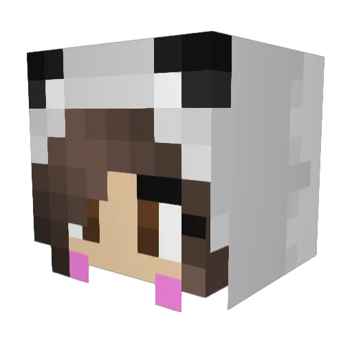 derKott Minecraft avatar head, 3D render
