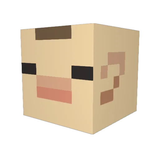 derOpige Minecraft avatar head, 3D render