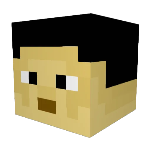 derSackReis Minecraft avatar head, 3D render