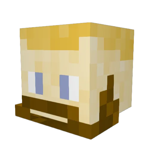 derTimo63 Minecraft avatar head, 3D render