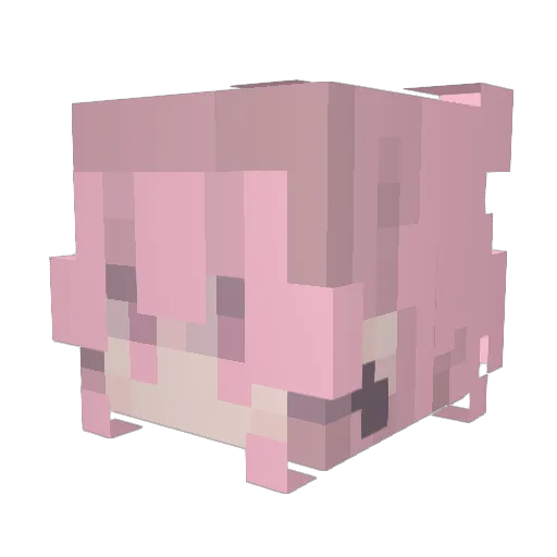 derangedpuppy Minecraft avatar head, 3D render