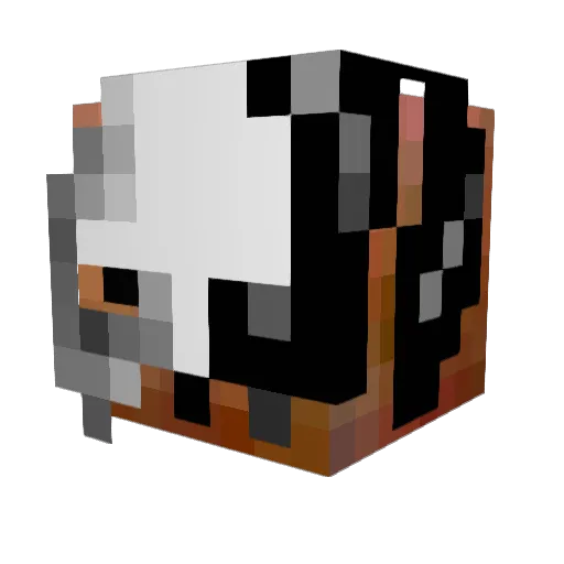 derd193 Minecraft avatar head, 3D render