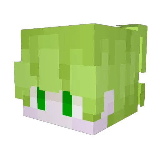 derderqwe1337 Minecraft avatar head, 3D render