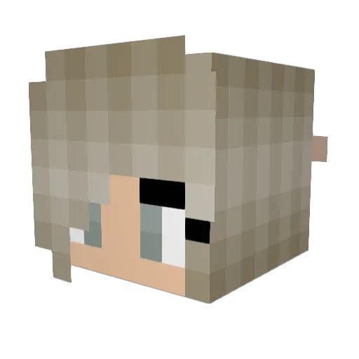 derectus Minecraft avatar head, 3D render