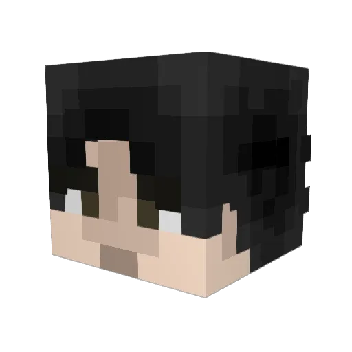 derek11 Minecraft avatar head, 3D render