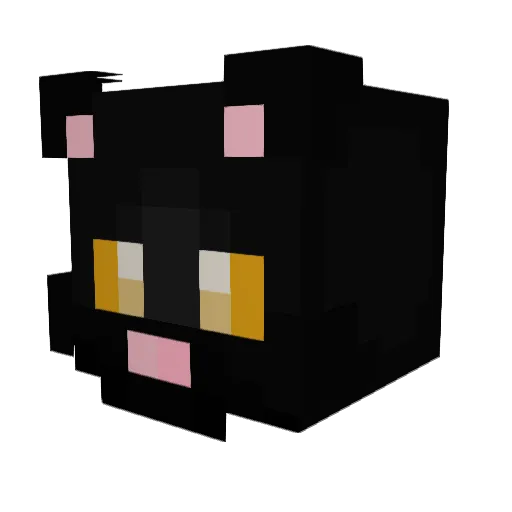 derf_20 Minecraft avatar head, 3D render