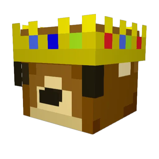 derienn_ Minecraft avatar head, 3D render