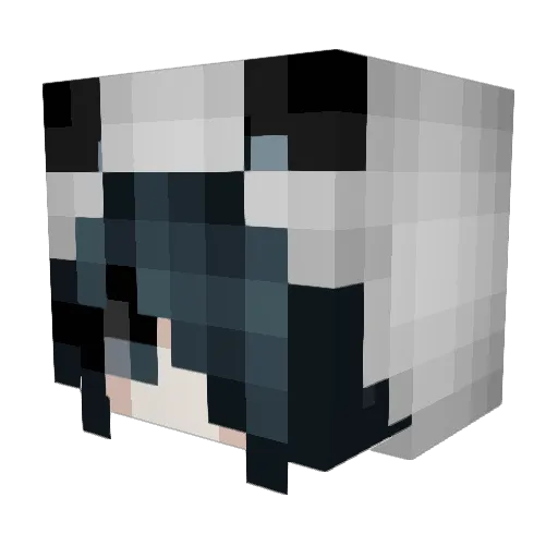 derka101 Minecraft avatar head, 3D render