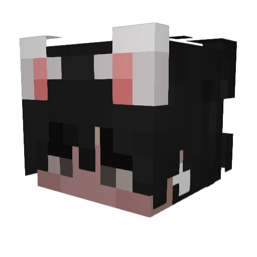 derkluegere Minecraft avatar head, 3D render