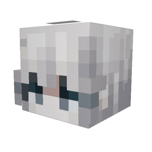 derkommandodroid Minecraft avatar head, 3D render
